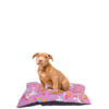 Almofada Pet Retangular